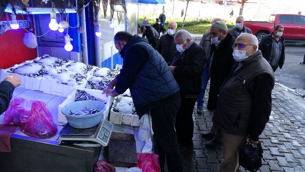 Hamsi sürüleri kuzeye yöneldi, avı azaldı