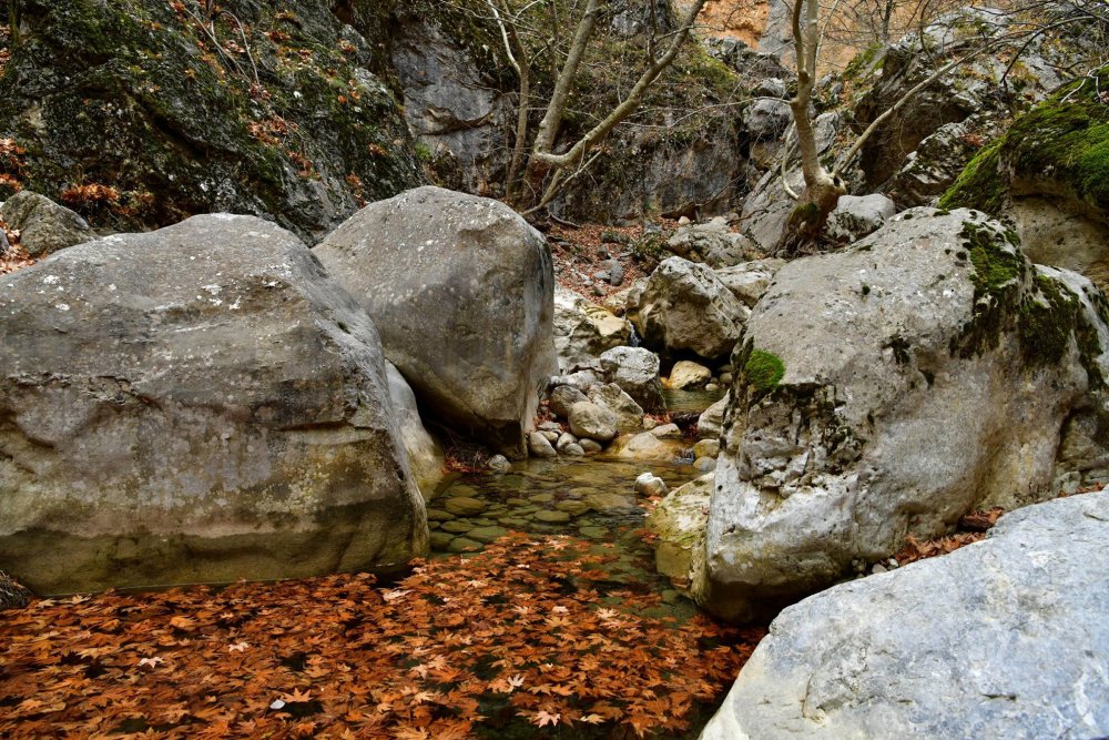Yaka Kanyonu, hayran bırakıyor