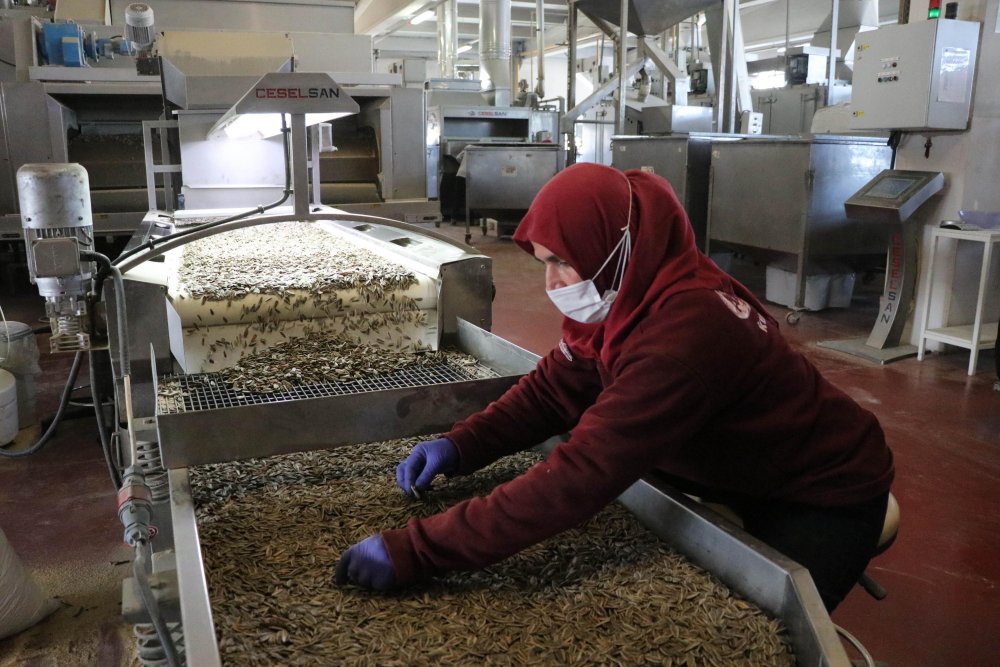 Yılbaşı öncesi kuru yemişte yüzde 400 talep patlaması