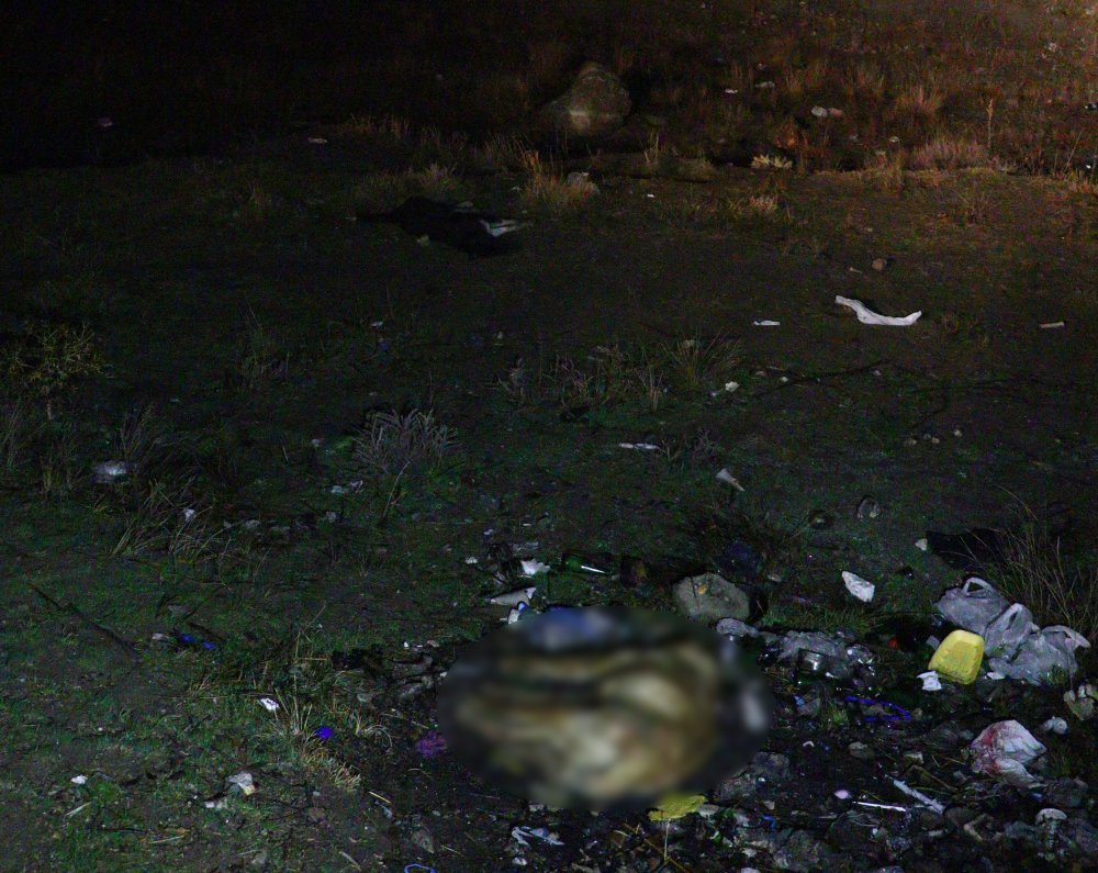 Ankara'da 6 sokak köpeği zehirlenerek öldürüldü