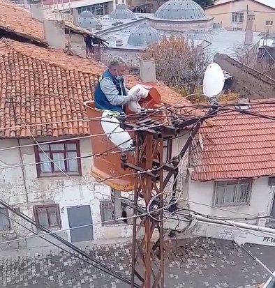 Elektrik direğinde mahsur kalan kedi vinçle kurtarıldı