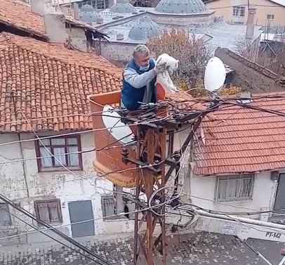 Elektrik direğinde mahsur kalan kedi vinçle kurtarıldı