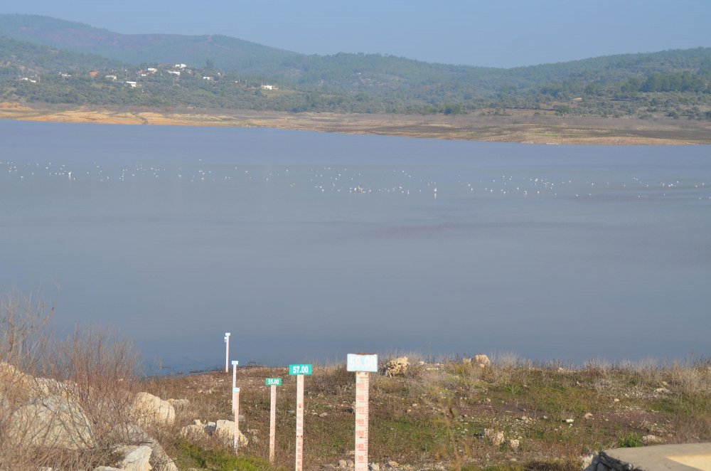 'Bodrum yaz sezonunda susuz kalabilir' uyarısı