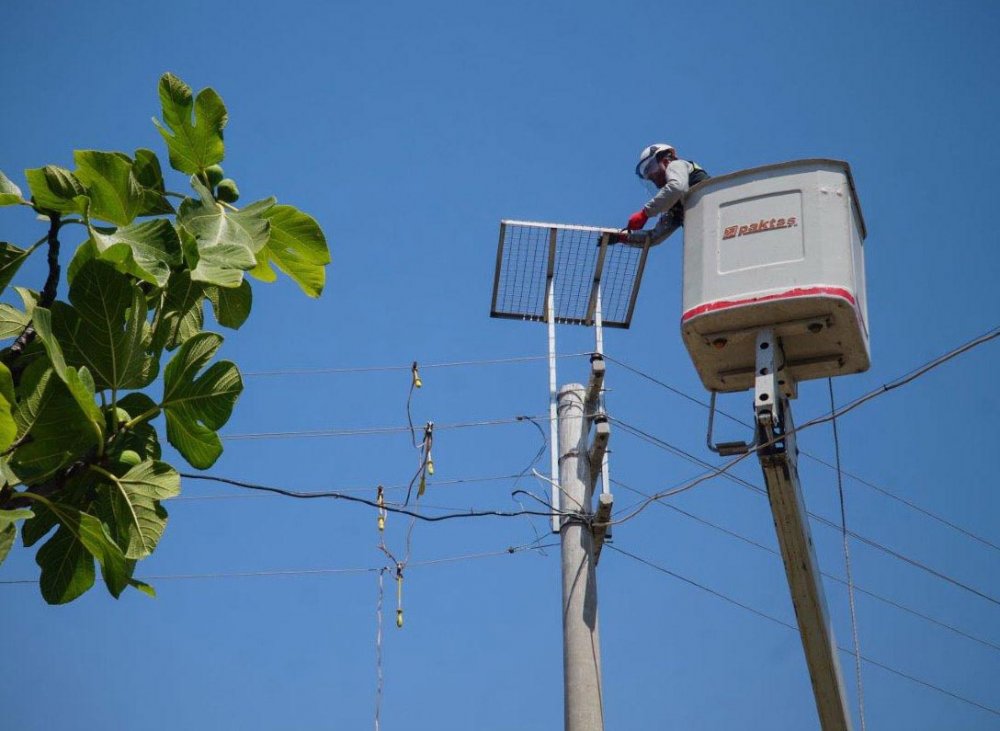 Elektrik direklerindeki 'Leyleklere Yeni Yuva' projesine 'Platin' ödülü 