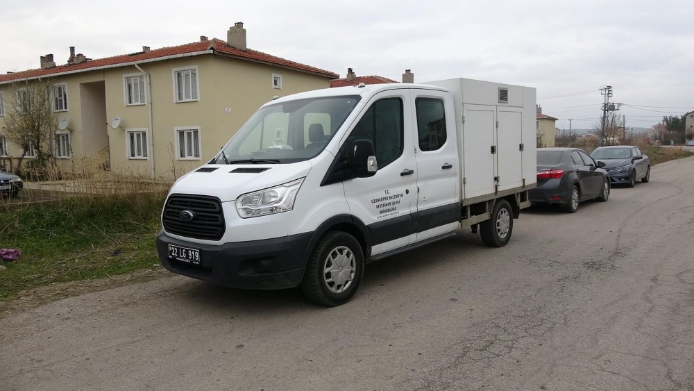 Balkona bağlanan köpek, ipe asılı halde ölü bulundu