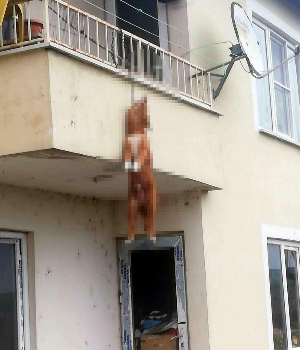 Balkona bağlanan köpek, ipe asılı halde ölü bulundu
