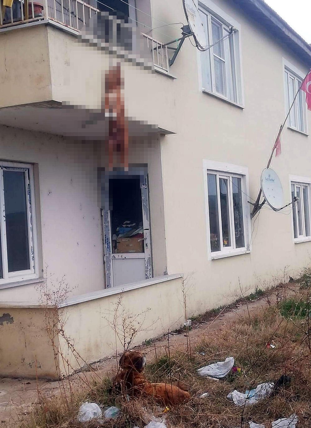 Balkona bağlanan köpek, ipe asılı halde ölü bulundu
