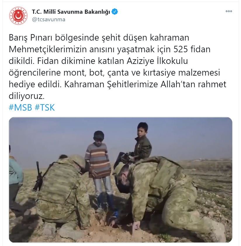 Barış Pınarı bölgesine şehitlerin anısına 525 fidan dikildi