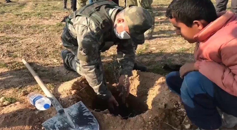 Barış Pınarı bölgesine şehitlerin anısına 525 fidan dikildi