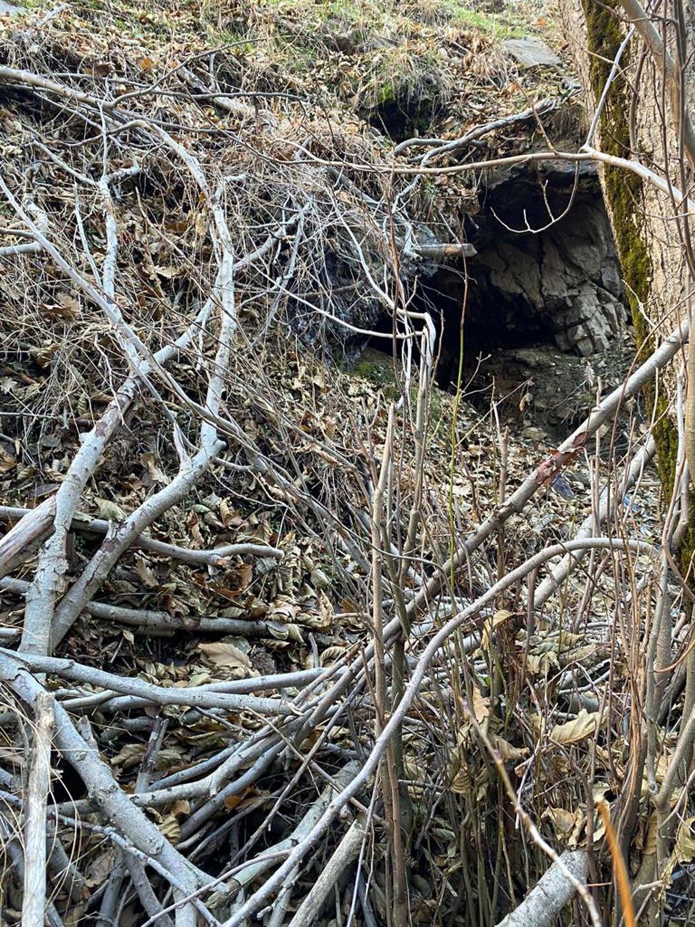 Bitlis'te teröristlerin silah, mühimmat ve el bombaları bulundu