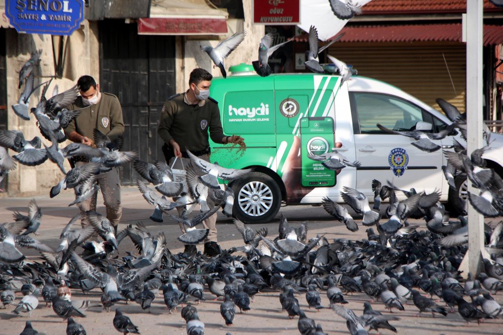 Bolu polisi, kısıtlamada sokak hayvanlarını unutmadı