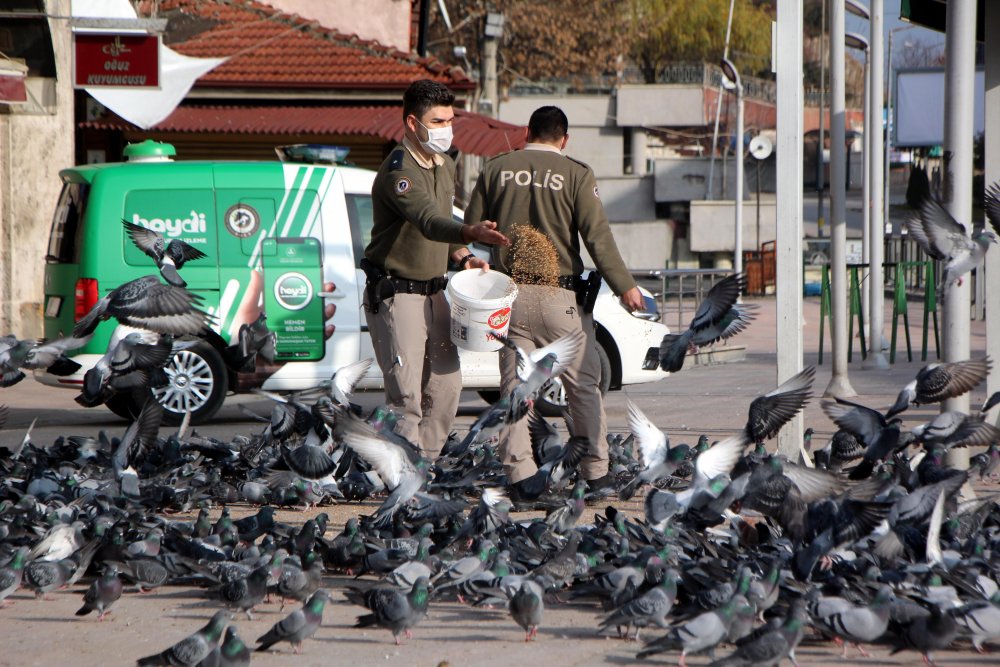 Bolu polisi, kısıtlamada sokak hayvanlarını unutmadı