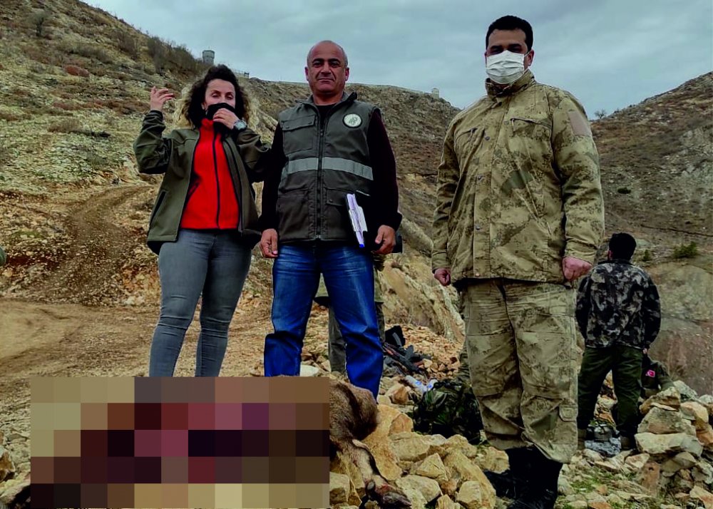 Koruma altındaki yaban keçisi avına 30 bin lira ceza