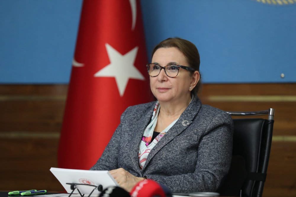 Bakan Pekcan: İngiltere ile kendi anlaşmamızı imzalamak için gayret gösteriyoruz