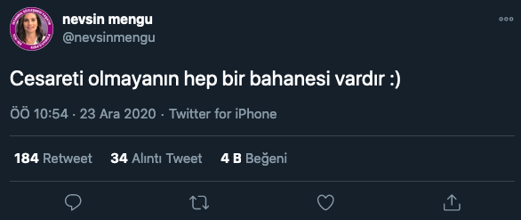 nevsin.png