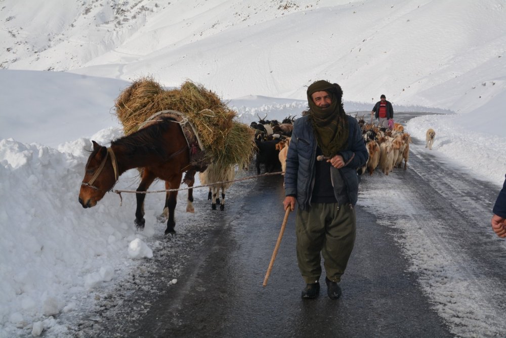 Hakkari'de karda mahsur kalan çoban ve koyunlar kurtarıldı