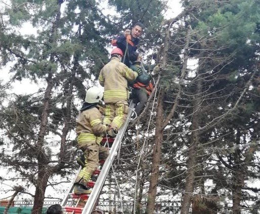 Silivri'de ağaç budarken elektrik akımına kapılan kişi ağır yaralandı