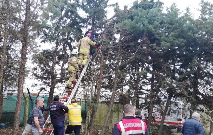 Silivri'de ağaç budarken elektrik akımına kapılan kişi ağır yaralandı