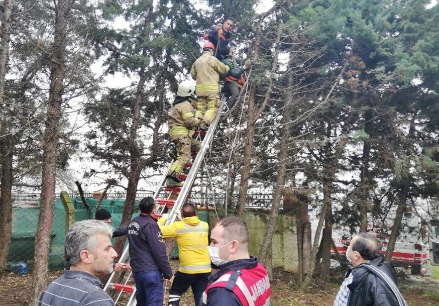 Silivri'de ağaç budarken elektrik akımına kapılan kişi ağır yaralandı