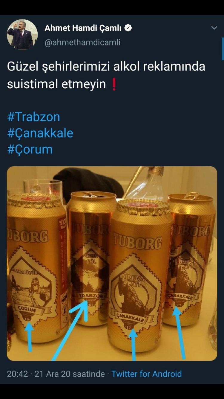 t1.jpg