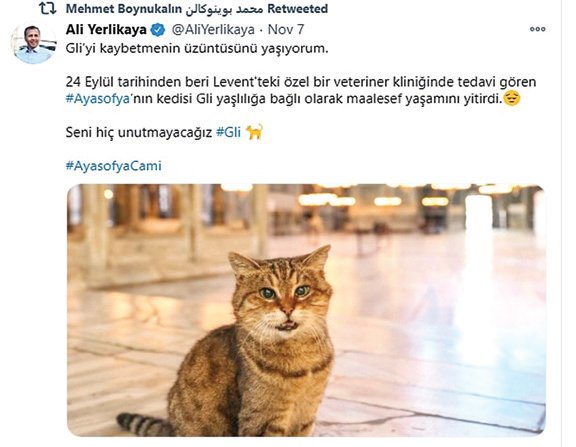 aya-1.jpg