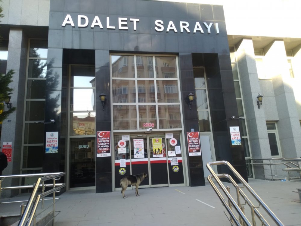 Sahibini bekleyen köpek, adliye kapısından ayrılmadı