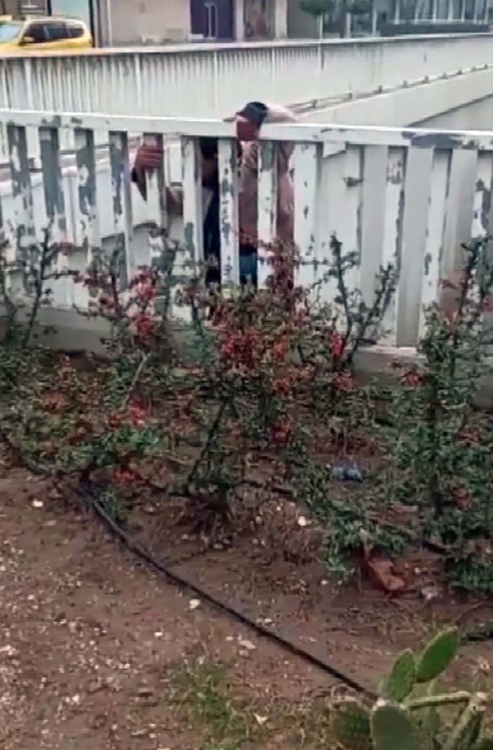 Köprüden atlamak istedi, vatandaş 'Gel çay içelim' diyerek ikna etti