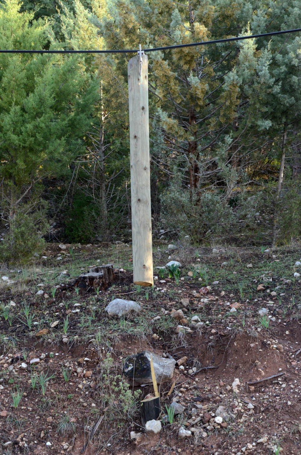 Antalya'da şaşırtan hırsızlık; ahşap direkleri ortadan kesip çaldılar
