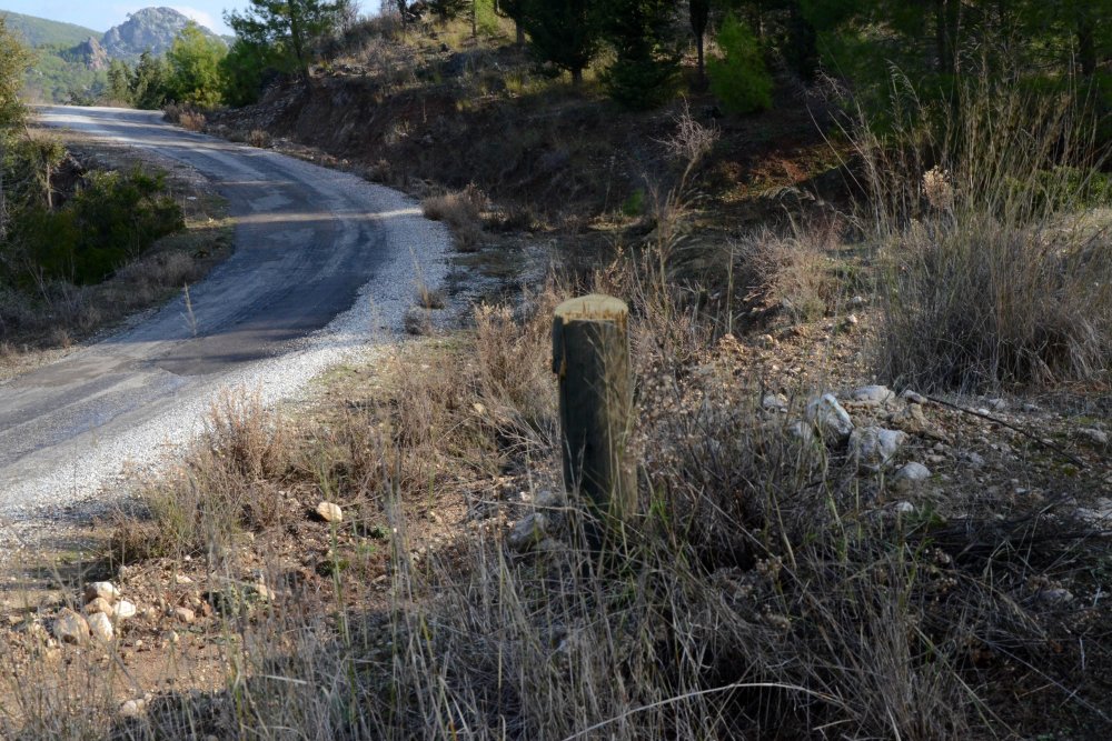 Antalya'da şaşırtan hırsızlık; ahşap direkleri ortadan kesip çaldılar