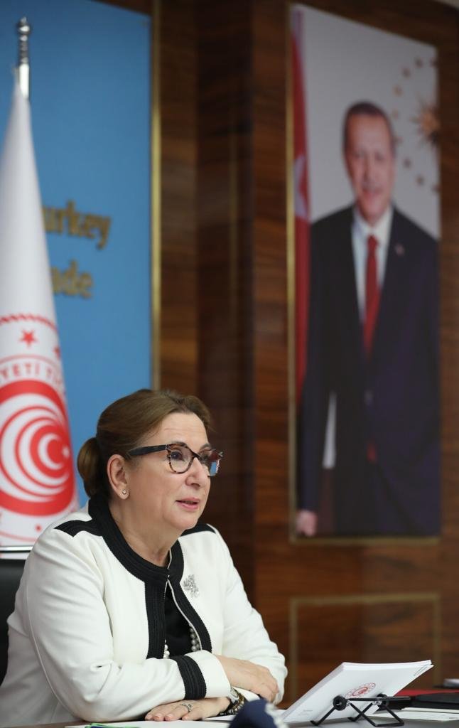 Bakanı Pekcan: Brexit sürecini dakika dakika takip ediyoruz