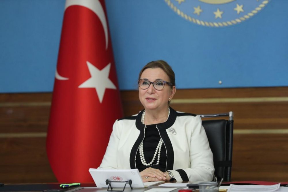Bakanı Pekcan: Brexit sürecini dakika dakika takip ediyoruz