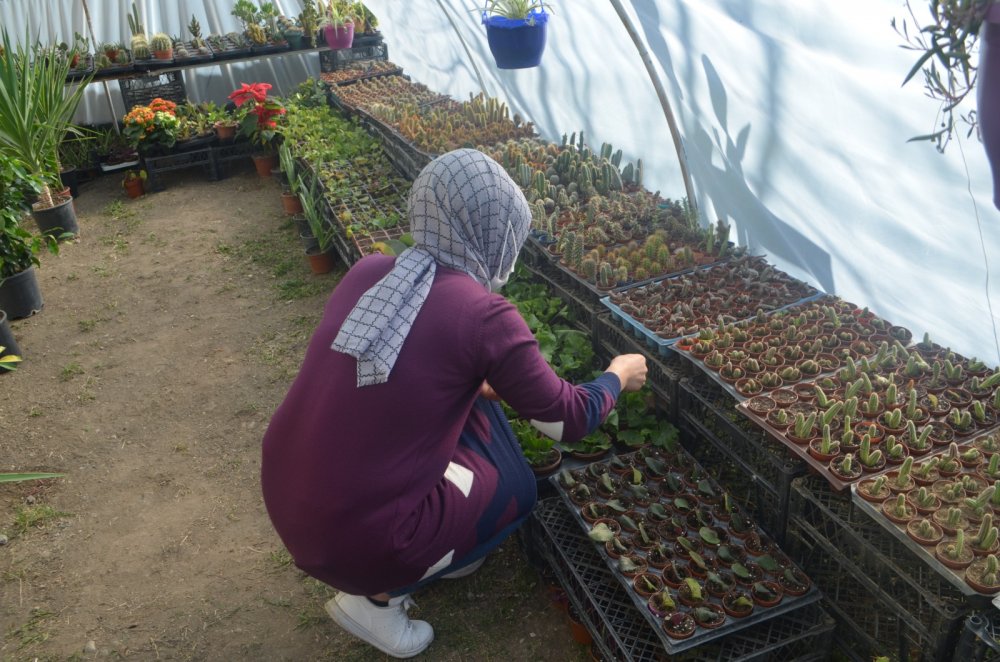 Biriktirdiği bozuk paralarla sera kurdu, pandemi nedeniyle açılışı ailesiyle yaptı