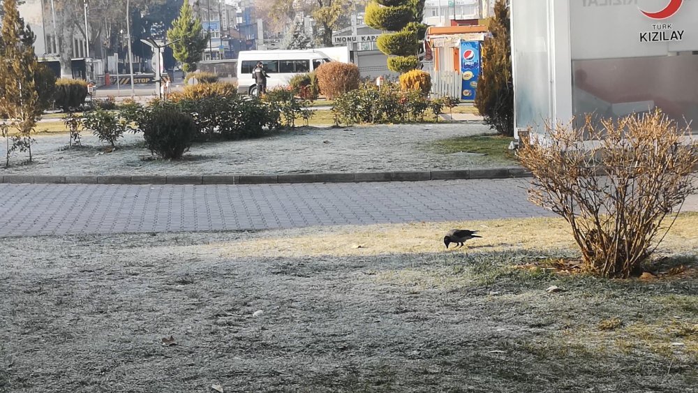 Elazığ'daki deprem Adıyaman’da da hissedildi