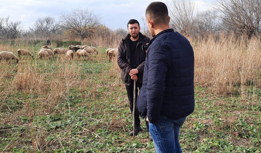 Havranlı çoban, paylaştığı videolarla sosyal medya fenomeni oldu