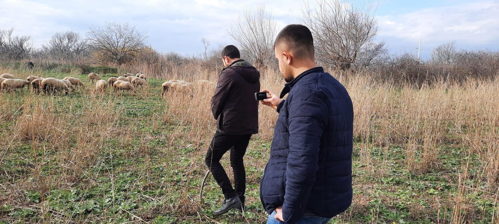 Havranlı çoban, paylaştığı videolarla sosyal medya fenomeni oldu
