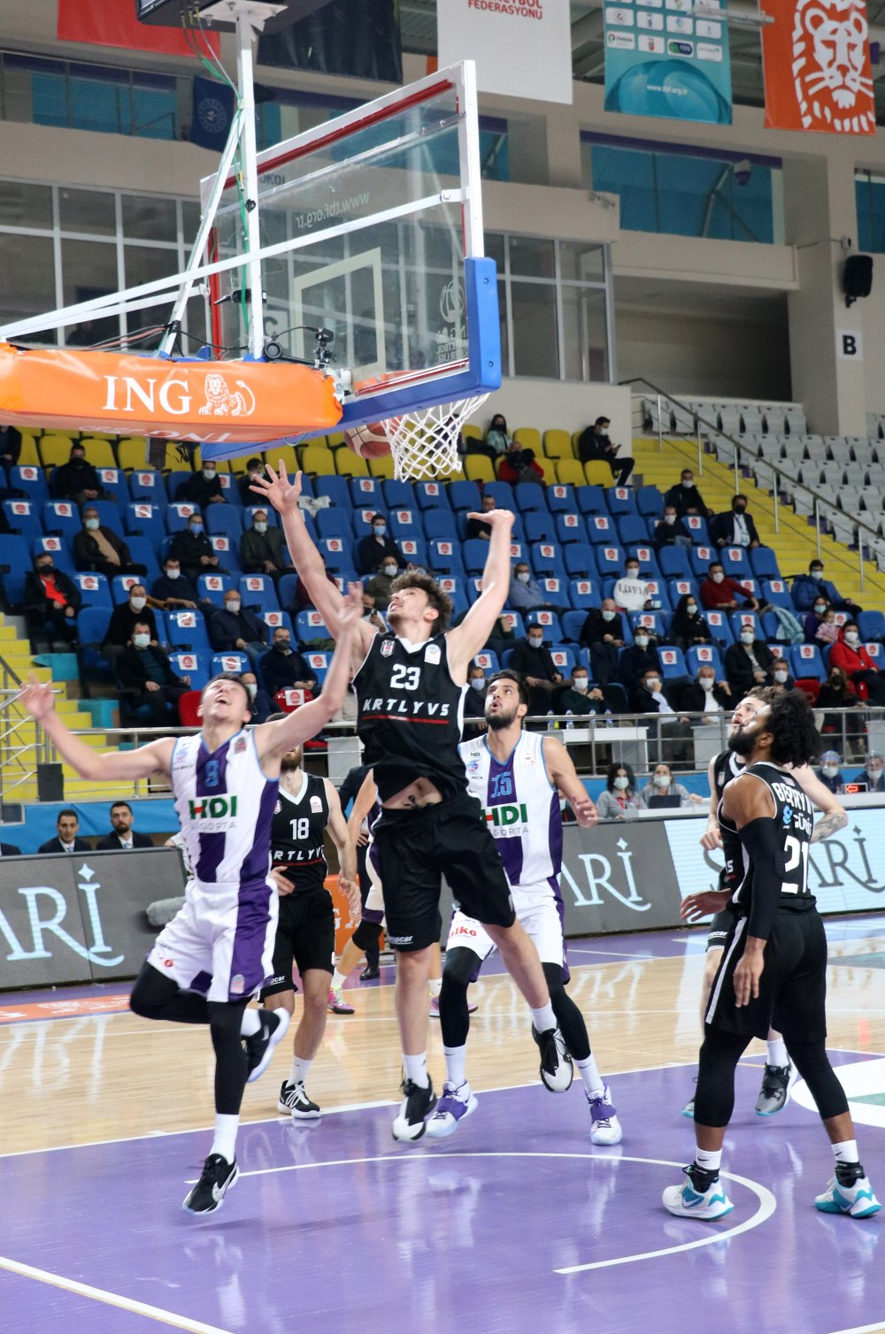 HDI Sigorta Afyon Belediyespor-Beşiktaş: 73-96