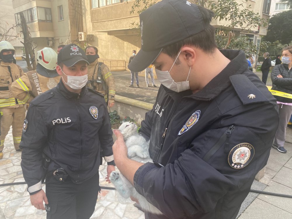 Kadıköy'de çıkan yangına kedinin devirdiği soba neden oldu iddiası