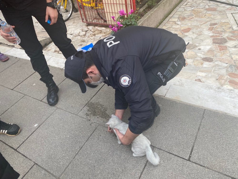 Kadıköy'de çıkan yangına kedinin devirdiği soba neden oldu iddiası
