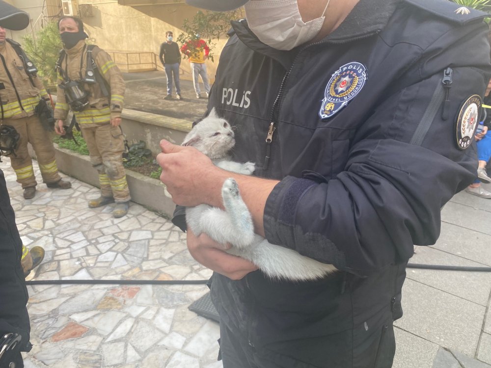 Kadıköy'de çıkan yangına kedinin devirdiği soba neden oldu iddiası