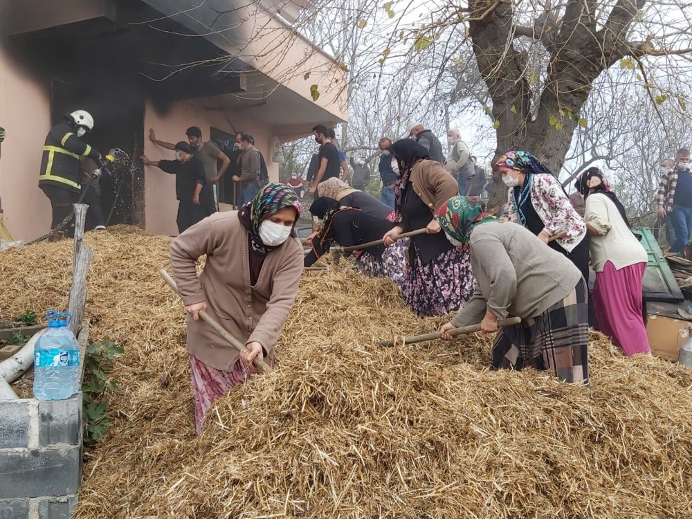 Kalorifer kazanını yakmak isterken yangın çıktı; anne- oğul yaralı, 3 inek öldü