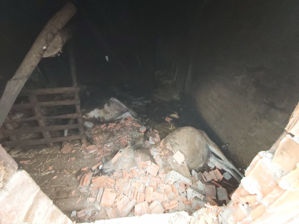 Kalorifer kazanını yakmak isterken yangın çıktı; anne- oğul yaralı, 3 inek öldü