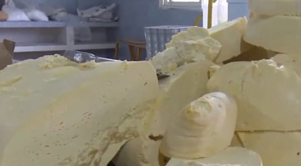 Küba’da devlete ait fabrikadan 1300 kilo peynir çalan işçilere gözaltı