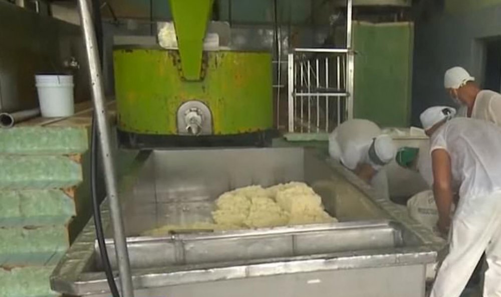 Küba’da devlete ait fabrikadan 1300 kilo peynir çalan işçilere gözaltı