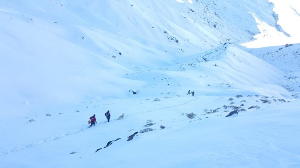 MSB: Hakkari'de çığ altında kalan 1 asker şehit oldu, 1 asker aranıyor