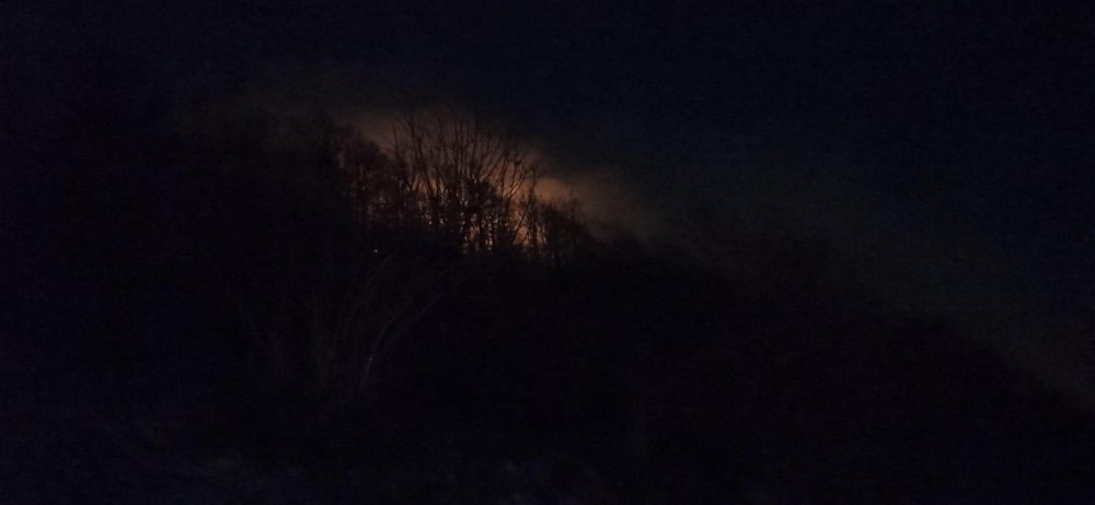 Ordu'da ormanlık alanda yangın
