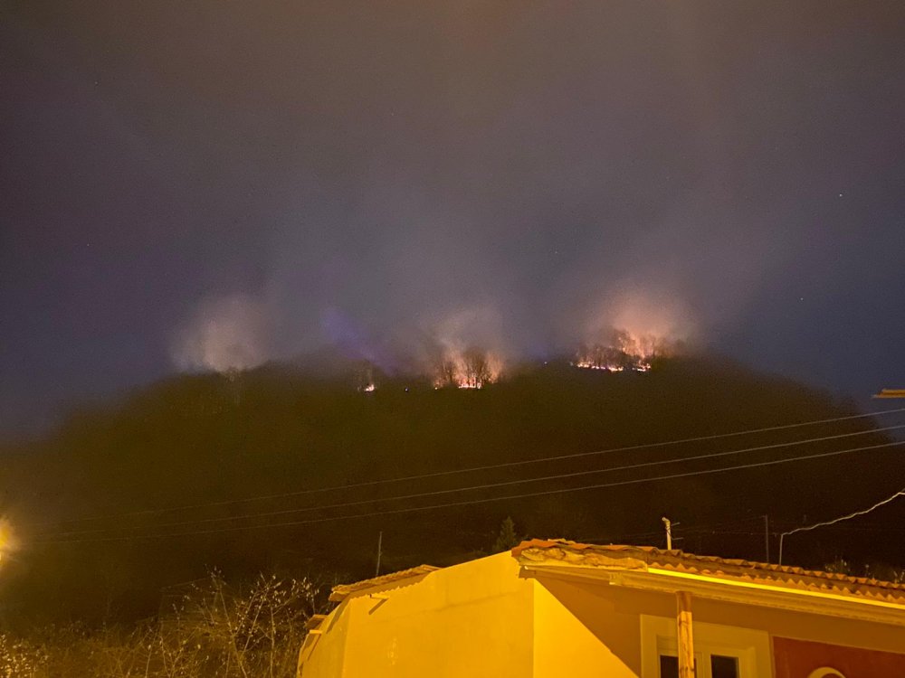 Ordu'da ormanlık alanda yangın