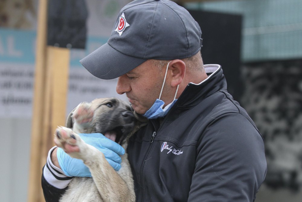 'Patiliköy' adını verdiği barınakta, 550 köpeğin bakımını yapıyor