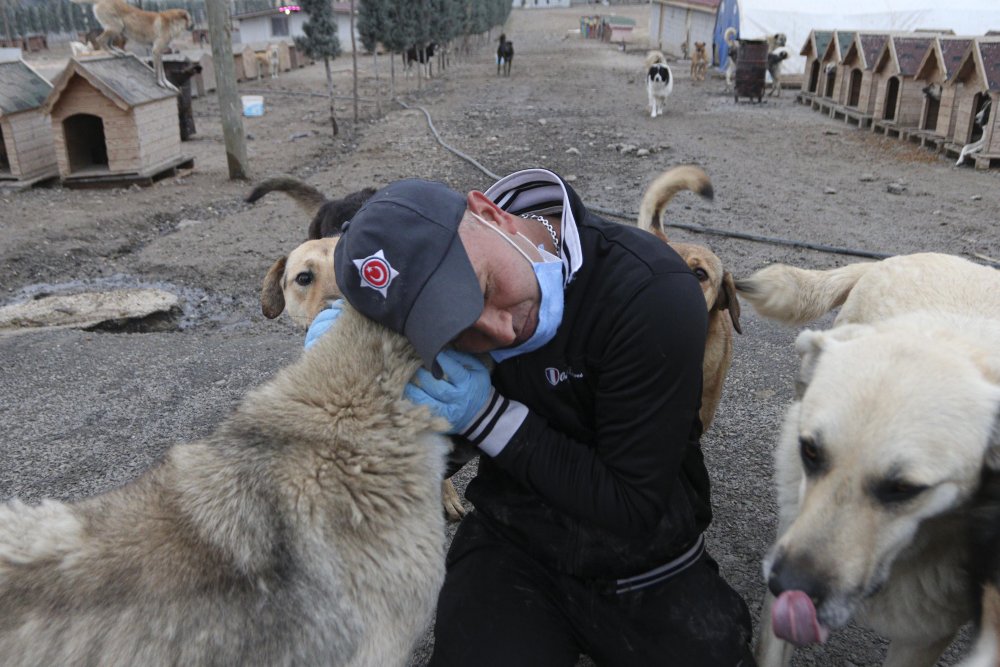 'Patiliköy' adını verdiği barınakta, 550 köpeğin bakımını yapıyor