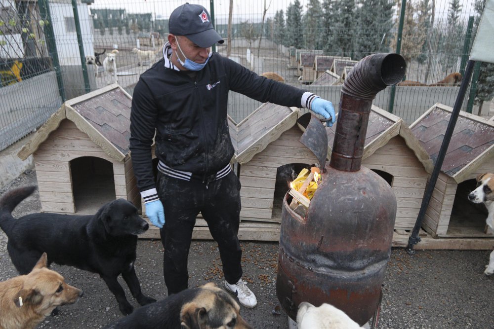 'Patiliköy' adını verdiği barınakta, 550 köpeğin bakımını yapıyor