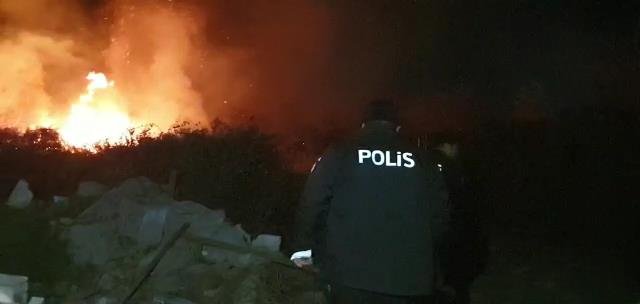 İznik'te sazlık alanda yangın